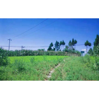 732个矿山完成生态修复 四川加强矿山综合整治