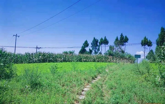 修复后的南津镇槽土村陶家沟采石场