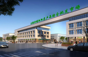 中国电科峰泰公司助力安徽供销打造智慧农贸系统