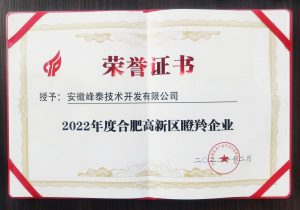 再斩殊荣！电科峰泰荣获2022合肥市高新区“瞪羚企业...