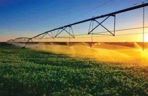 中国食用菌协会引用中电科峰泰产销数字化转型案例