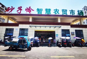 电科峰泰项目-砂子岭智慧农贸市场