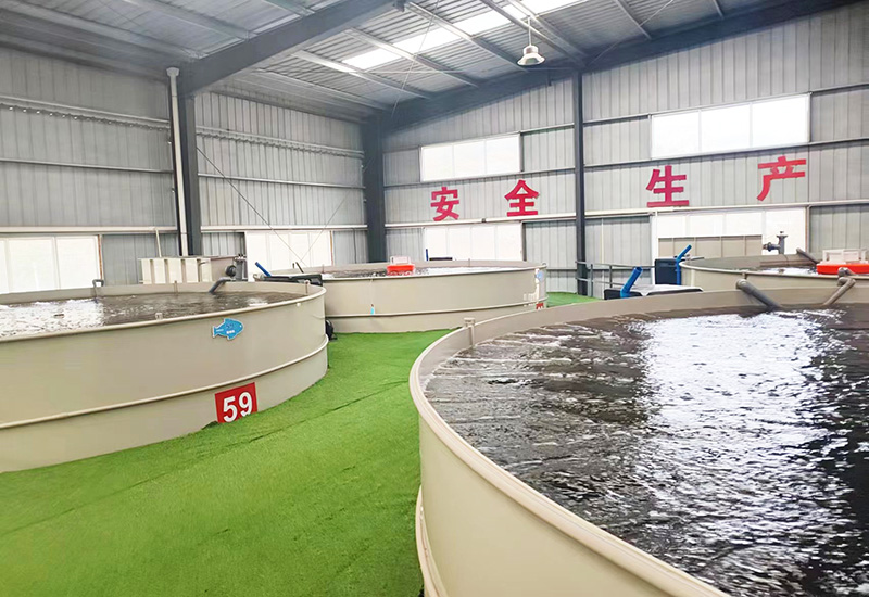 湖北丹江口智慧渔业项目