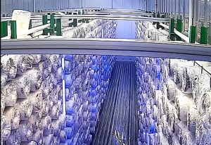 安徽省皖能光伏农业科技智慧菌菇房项目