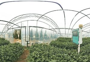 湖北通山县智慧茶园建设项目