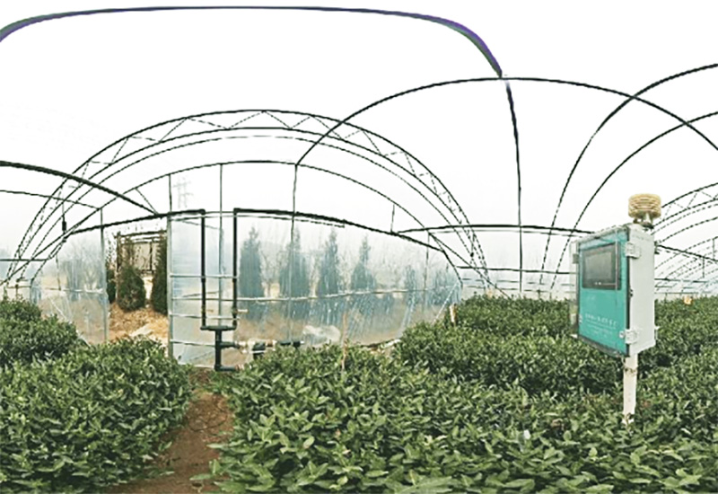 湖北通山县智慧茶园建设项目