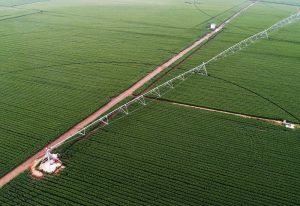 把土壤还给粮食 智慧农业让种地更轻松