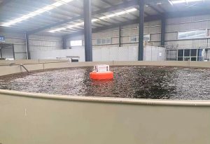 向江河湖海要食物，渔业养殖向现代化智能化转型