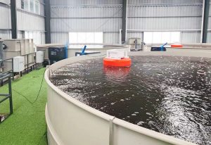 电科峰泰智慧渔业系统：赋能渔业可持续发展?助力养...