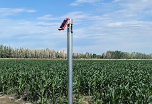 发展现代设施农业指导意见发布：完善仓储冷链物流?...