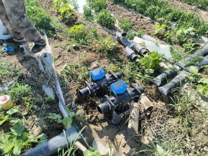 电科峰泰水肥一体化智能灌溉系统：驱动现代农业绿...