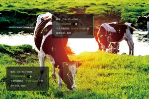 科技+智慧！以数字技术赋能畜牧业高质量发展