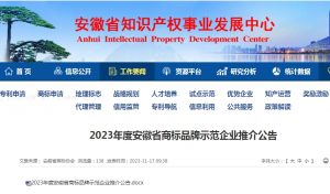 刚刚！电科峰泰荣膺“2023年安徽省商标品牌示范企业...