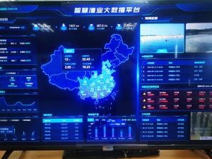 电科峰泰赋能渔业数字化转型 打造高密度专业化平台