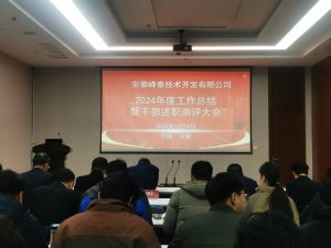 电科峰泰召开2024年度工作总结暨干部述职测评大会