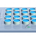 电科峰泰智慧渔业：解锁工厂化水产养殖高产密码